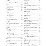 Livre : Le pouvoir de l'esprit animal - Vers un chemin de guérison grâce à l'enseignement des animaux-guides.