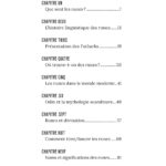 Livres Runes : laissez les symboles de pouvoir vous parler.