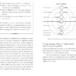Livre : Et si vous étiez passeur d'âmes. Accueillir ses multi-potentialités et incarner sa mission de vie.
