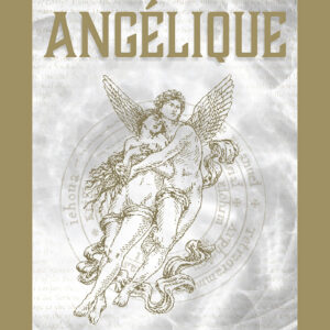Coffret : Le tarot angélique (édition poche).