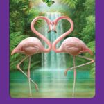 Coffret : Le tarot des animaux.