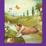 Coffret : Le tarot des animaux.