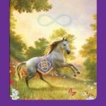 Coffret : Le tarot des animaux.
