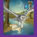 Coffret : Le tarot des animaux.