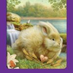 Coffret : Le tarot des animaux.