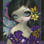 Coffret Le Tarot des belles créatures .