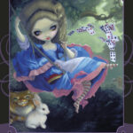 Coffret Le Tarot des belles créatures .