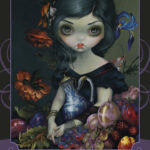 Coffret Le Tarot des belles créatures .