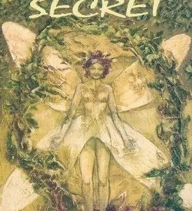 Coffret Tarot du Bois Secret.