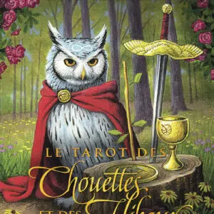 Coffret Le Tarot des Chouettes et des Hiboux.
