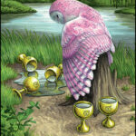 Coffret Le Tarot des Chouettes et des Hiboux.