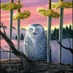 Coffret Le Tarot des Chouettes et des Hiboux.