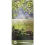 Coffret : Le tarot des arbres, de Céline Guillaume.