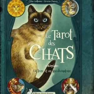 Coffret Le tarot de chats.