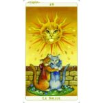 Coffret Le tarot de chats.
