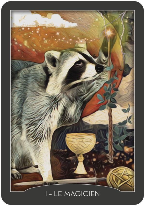 Coffret : Tarot des gardiens de la nuit.
