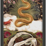 Coffret : Tarot des gardiens de la nuit.