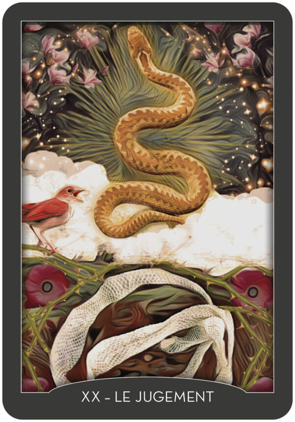 Coffret : Tarot des gardiens de la nuit.