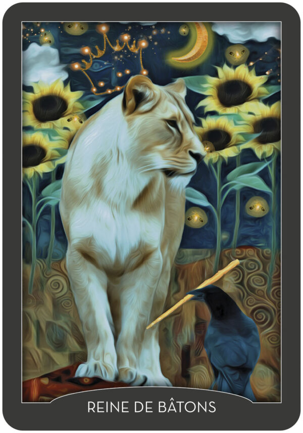 Coffret : Tarot des gardiens de la nuit.