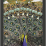 Coffret : Tarot des gardiens de la nuit.