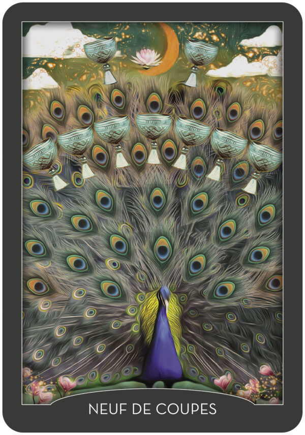 Coffret : Tarot des gardiens de la nuit.