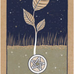 Coffret : Tarot de la lumière éphémère.