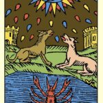 Le tarot de Marseille, d'Anna Maria Morsucci.