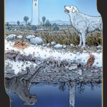 Coffret Le Tarot des oppositions.