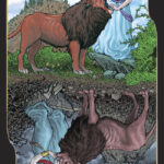 Coffret Le Tarot des oppositions.
