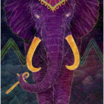 Coffret Le Tarot Oriens des animaux.