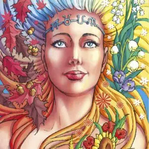 Coffret Tarot de la Roue de l'Année