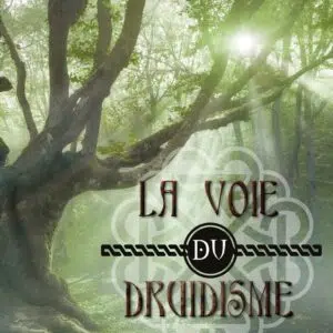 Livre La voie du druidisme.