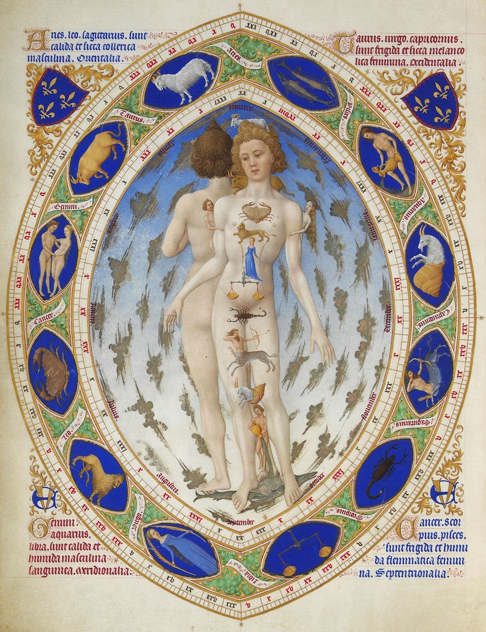 Signes du zodiaque et corps humains.